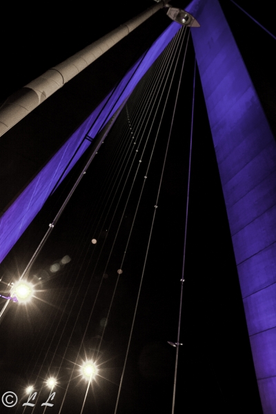 Pont de Normandie - (c) L Lammers.jpg